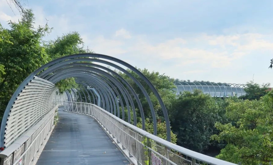 二萬坪步道好走嗎？親訪者告訴你真實路況與必知細節