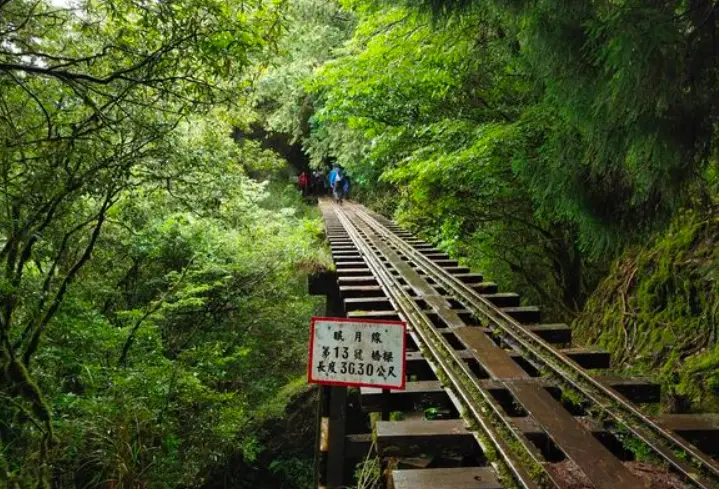 嘉義爬山路線全攻略：從新手到高手，5條必走步道與私房秘境