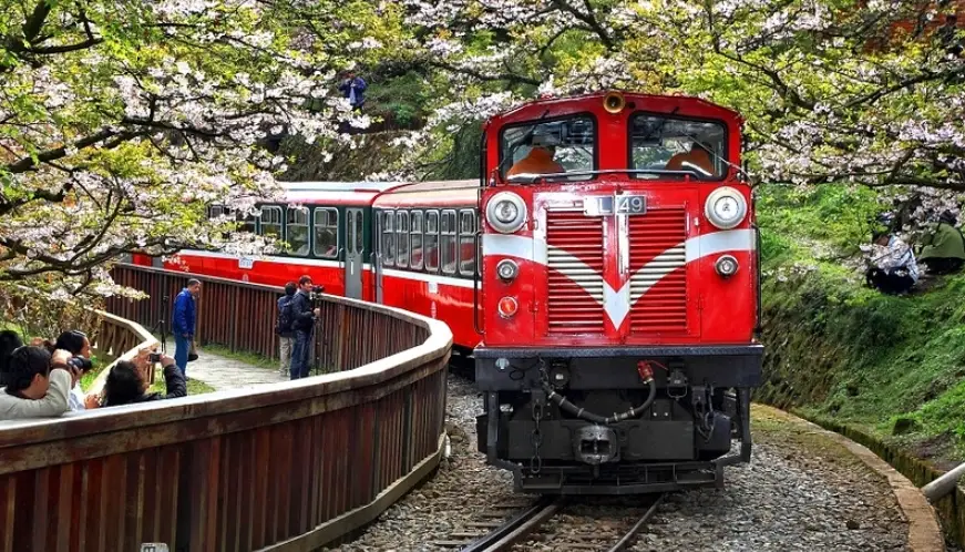 嘉義新手爬山 嘉義新手爬山