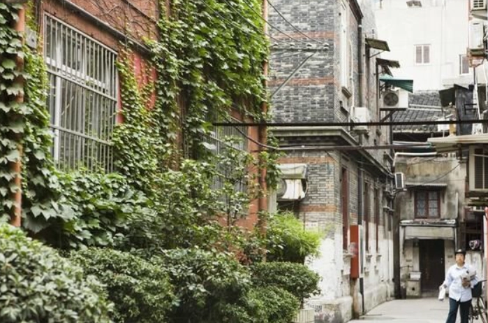 阿里山二萬坪怎麼去