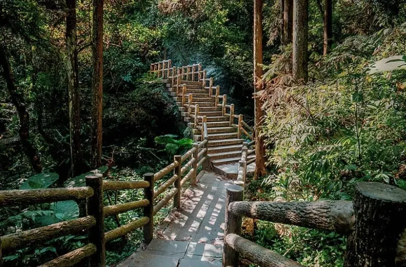 嘉義爬山入門 嘉義爬山入門