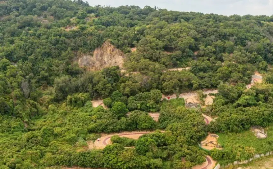 高雄森林步道推薦：5條必走路線與完整交通攻略