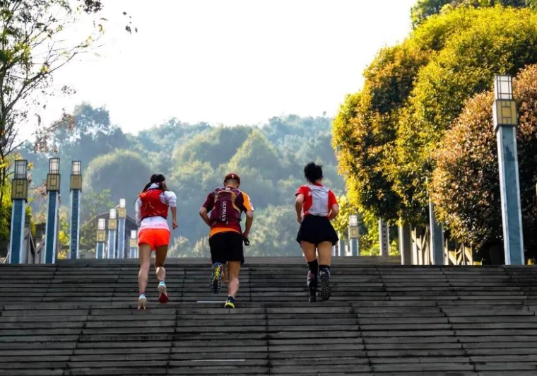 阿里山步道推薦