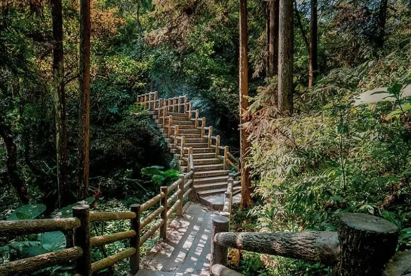 嘉義步道秘境探索：隱藏版山林路線與實用指南