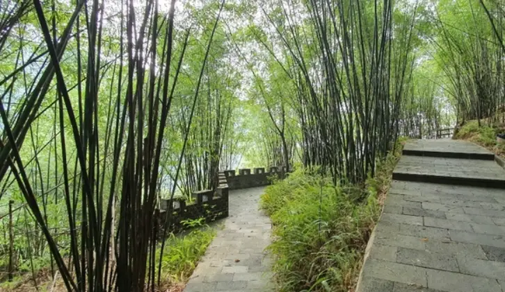 阿里山步道推薦