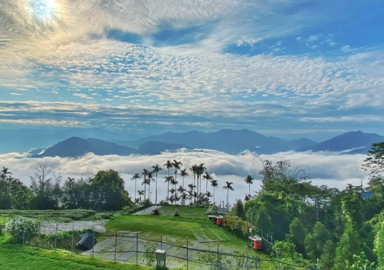 嘉義爬山入門 嘉義爬山入門