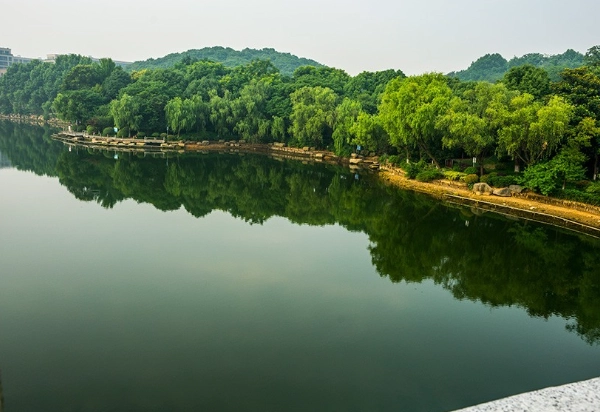 四獸山步道 四獸山步道