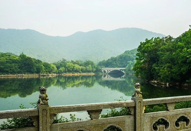 虎山森林步道健行攻略｜四獸山絕佳視野與交通路線全解析