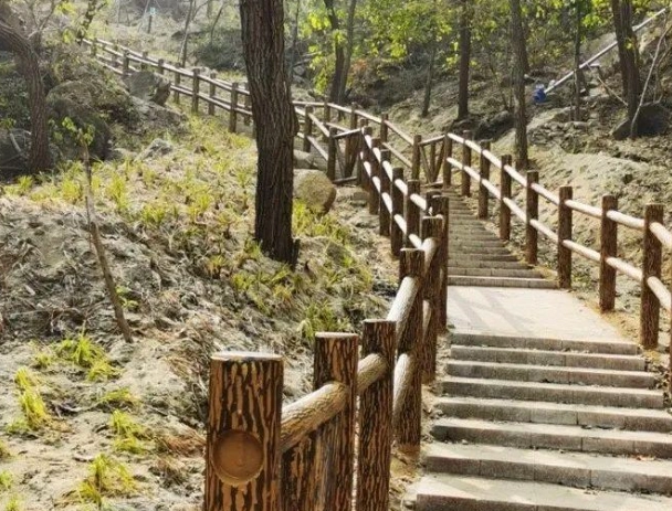 虎山步道 虎山步道