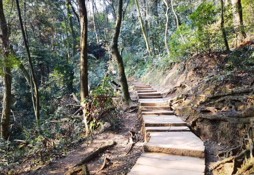 台南親子登山步道