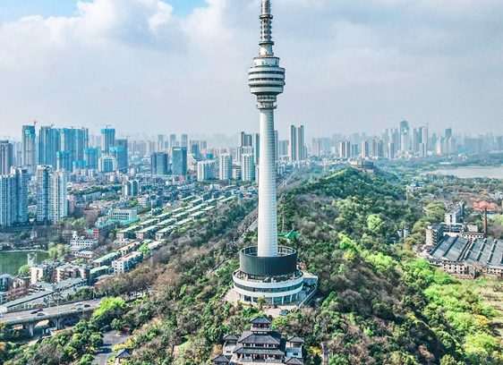 恆春龜山步道健行攻略：新手必看路線、交通、秘境海景一次掌握