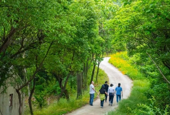 中壢爬山步道 中壢爬山步道