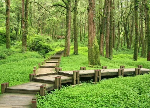虎山步道 虎山步道