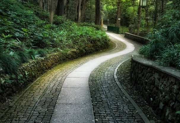 台南爬山親子 台南爬山親子