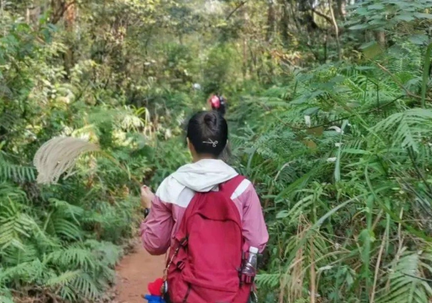 高雄登山步道推薦