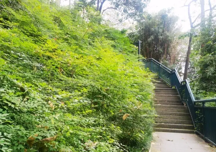 台南爬山親子 台南爬山親子