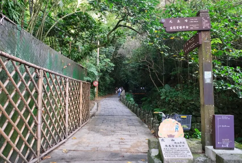 虎山步道周邊美食全攻略：在地人私藏餐廳與小吃推薦