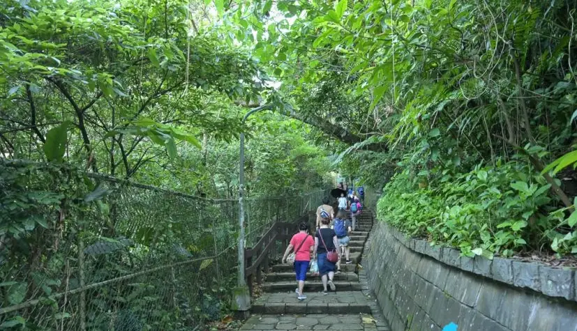 虎山步道登山口