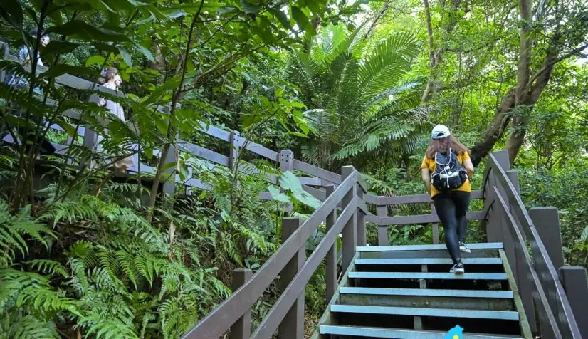 虎山步道怎麼去