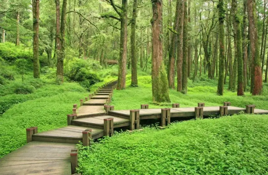 台南親子步道 台南親子步道