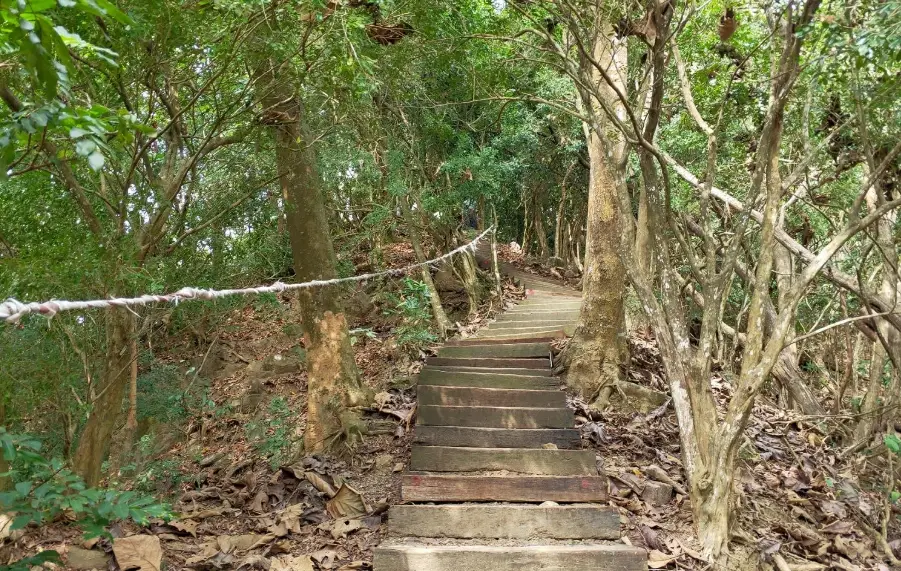 台南登山路線