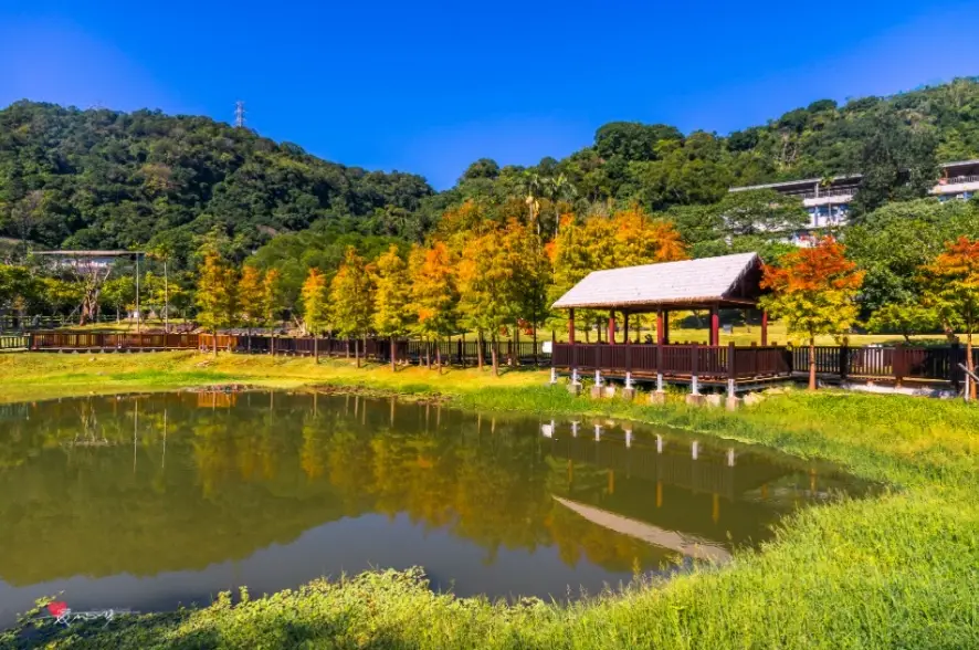 台北親水公園 台北親水公園