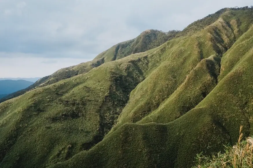 虎山小百岳登山全攻略：路線、交通與新手必知秘訣