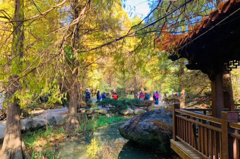 頭份步道推薦：3條私房路線與完整攻略