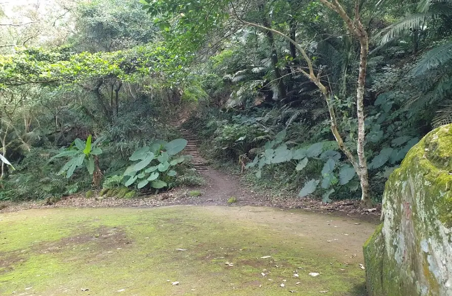 溪洲山三角點健行攻略：路線、交通、山頂景觀一次掌握