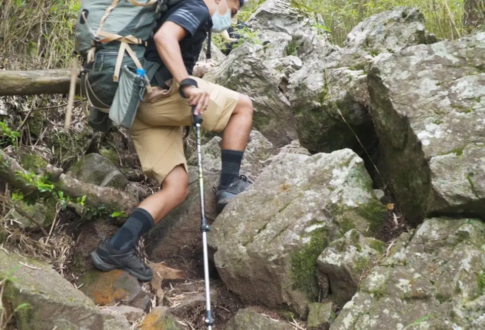 航空 登山杖 規定