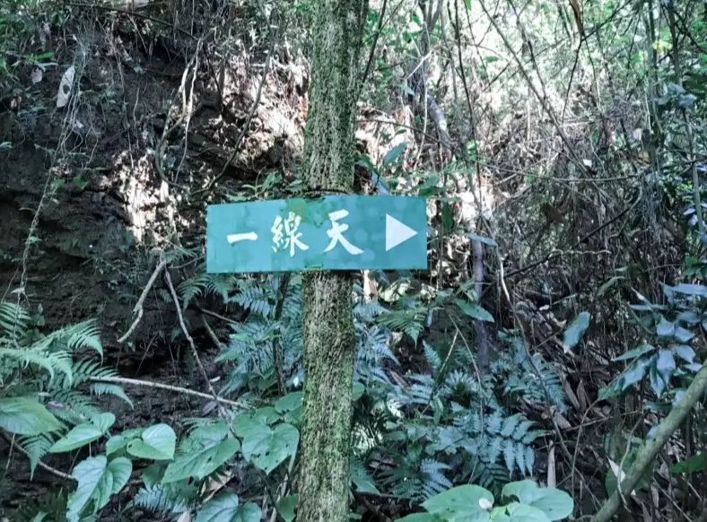 彰化登山步道推薦