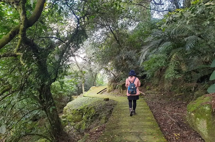 新店登山步道