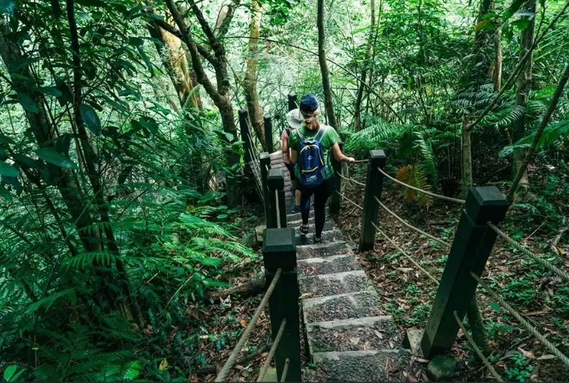 望古嶺步道交通
