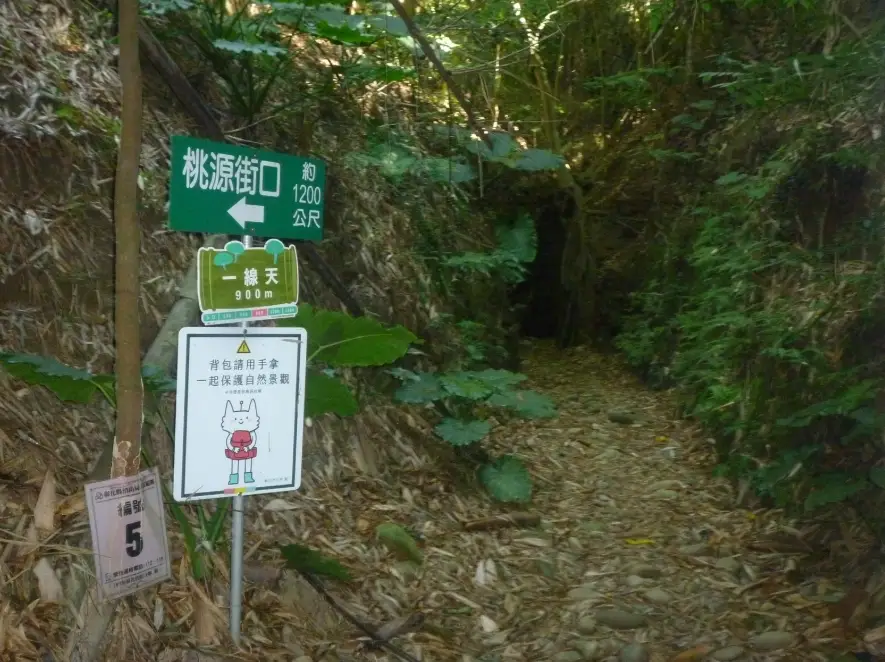 一線天步道交通