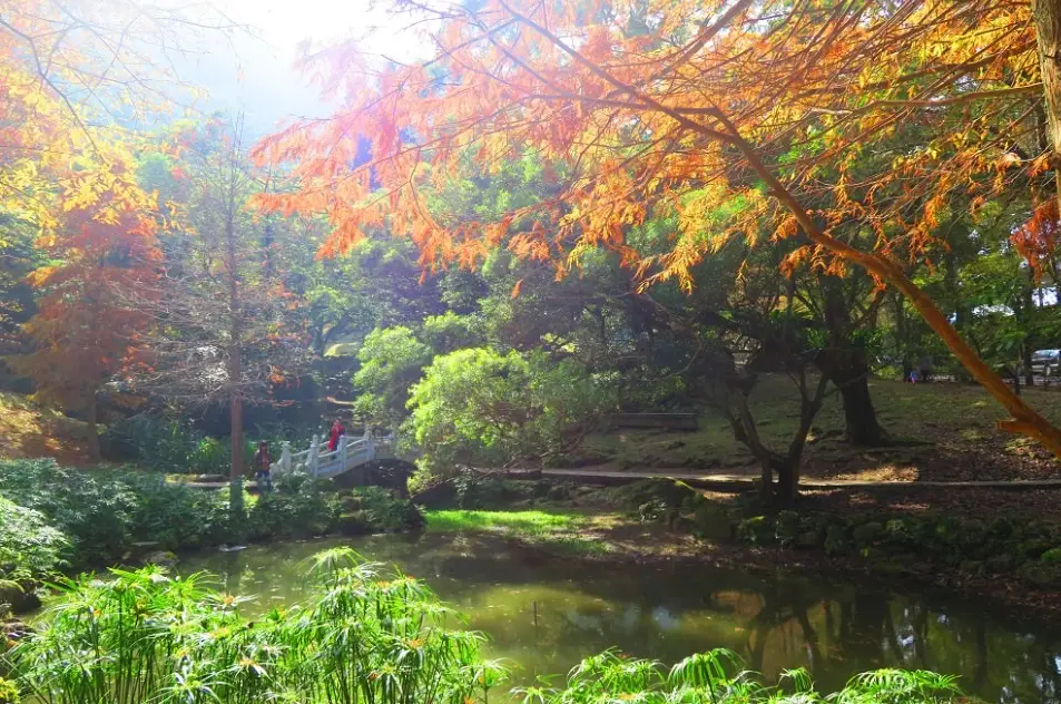 溪洲山難度全解析：路線分析、裝備準備與新手登山攻略