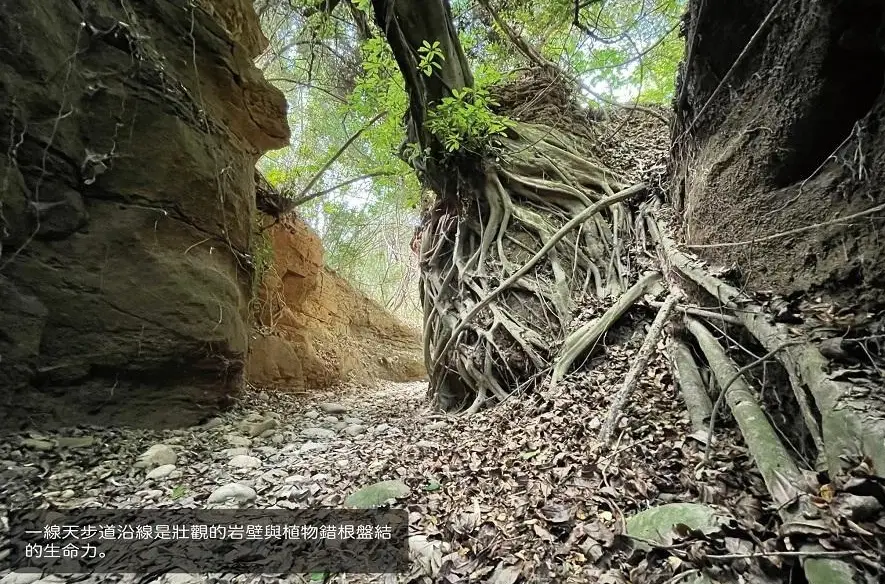 一線天步道交通