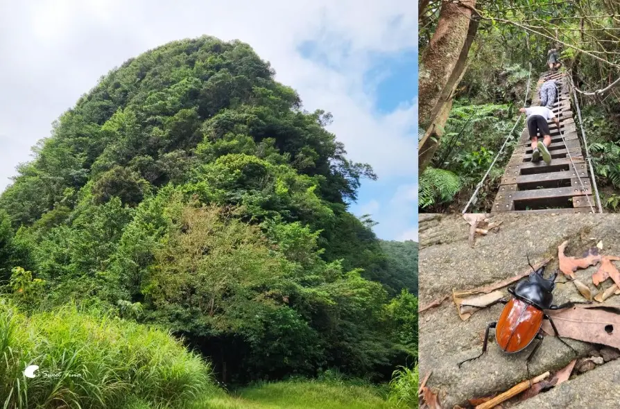 新店爬山 新店爬山