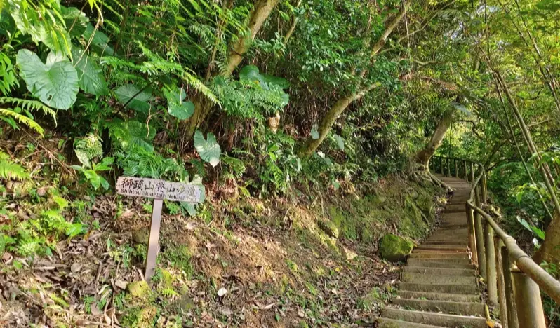 新店登山步道 新店登山步道