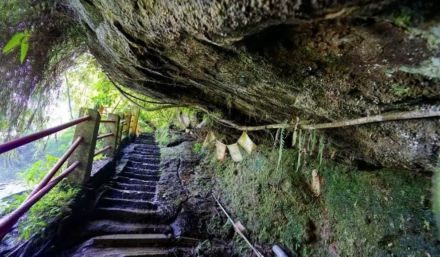 新店爬山 新店爬山