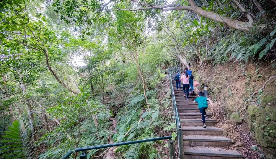新店爬山 新店爬山