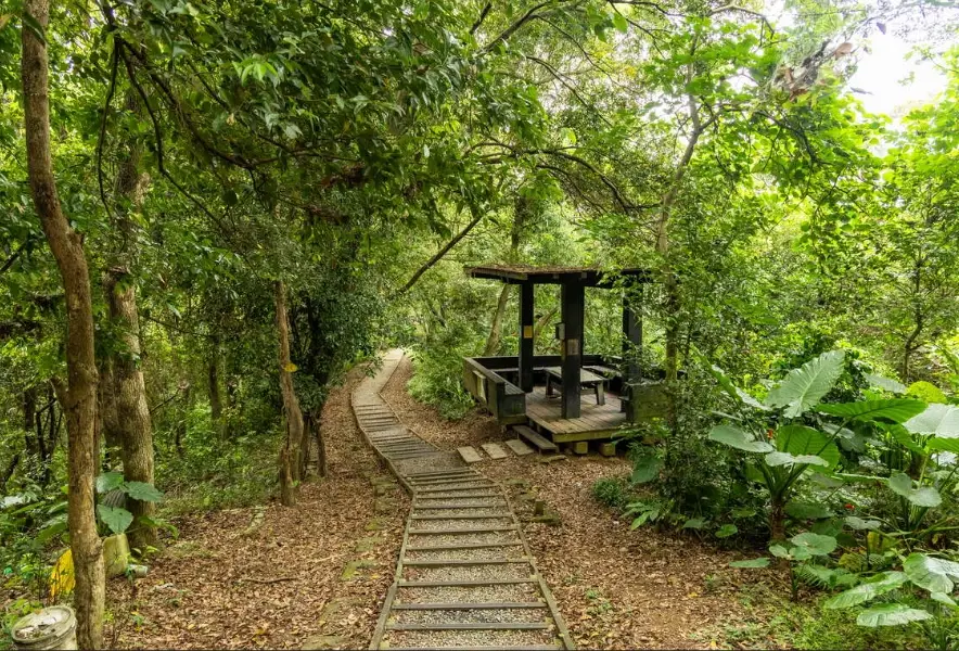 大同山 免費停車 大同山 免費停車