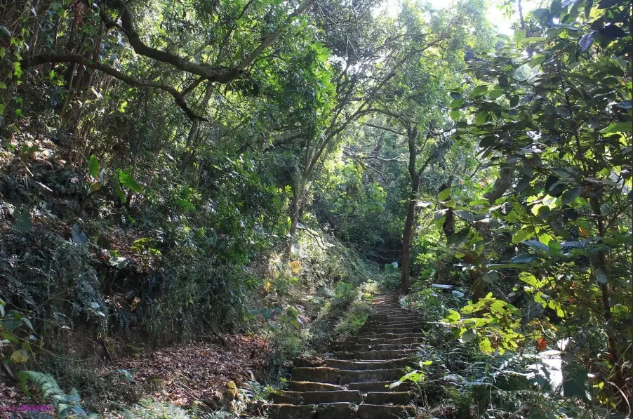 登山步道 登山步道