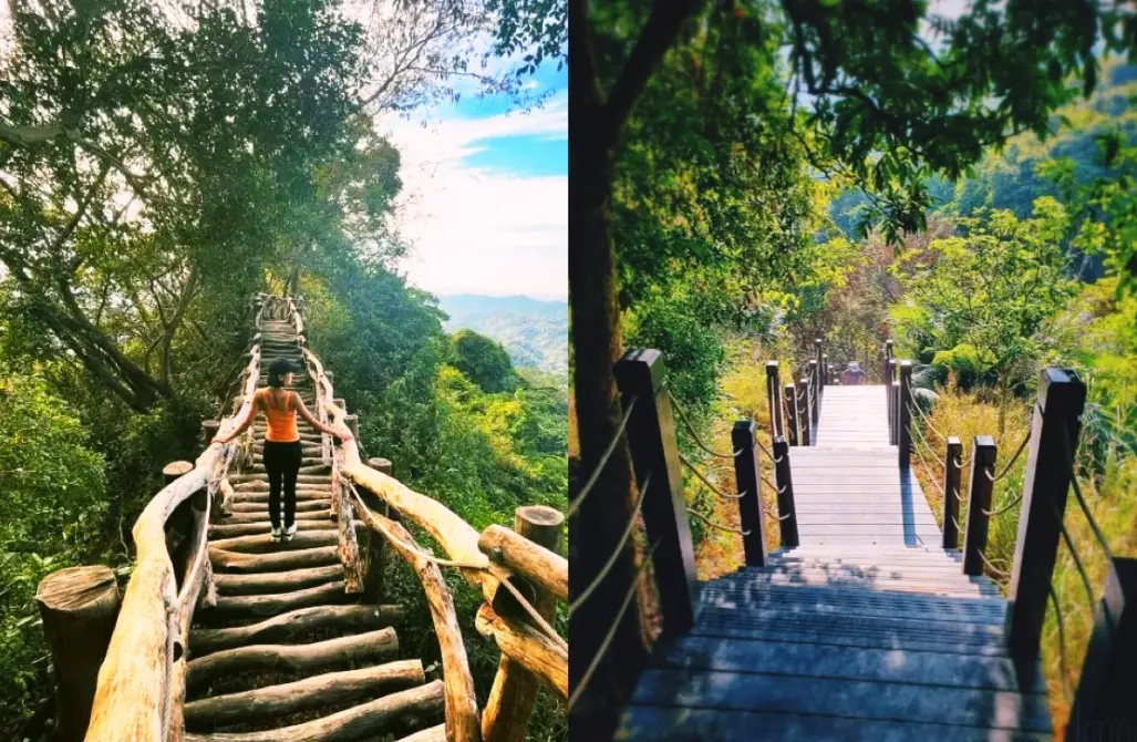 大坑七號登山步道｜新手挑戰陡峭好漢坡的完整攻略