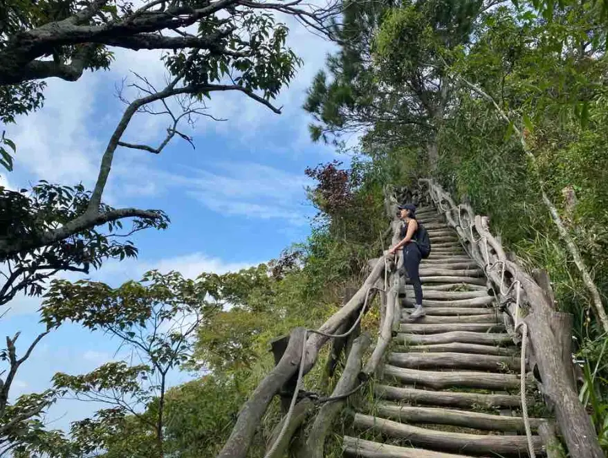 台中大坑步道 台中大坑步道