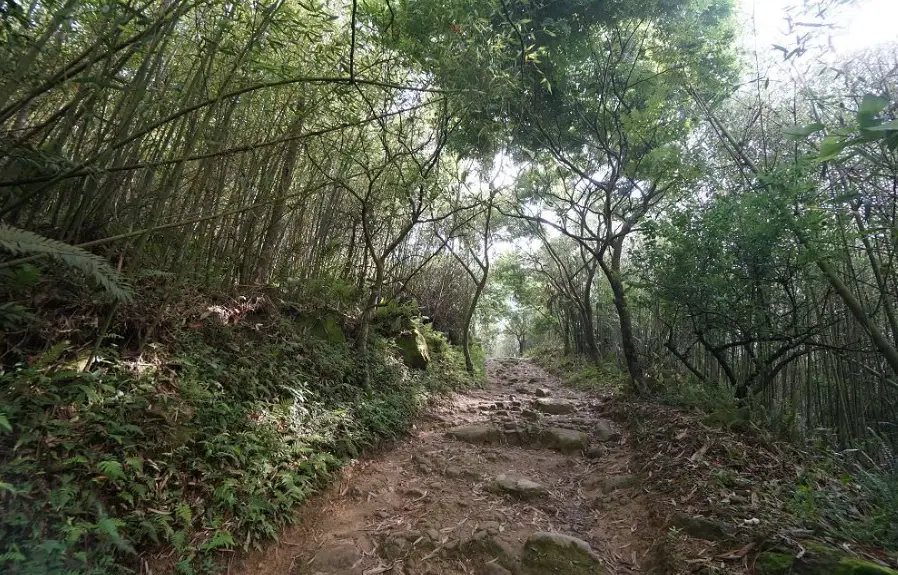 大棟山登山路線 大棟山登山路線