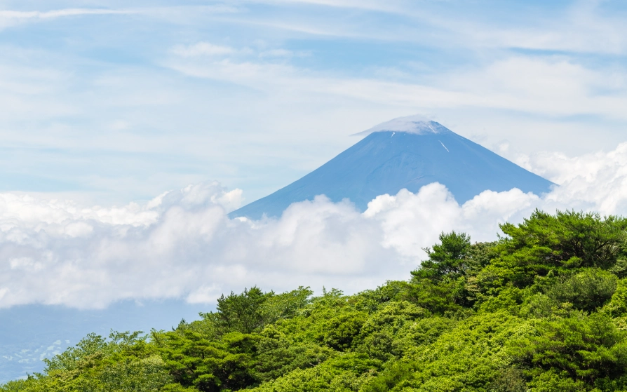 富士山自由行
