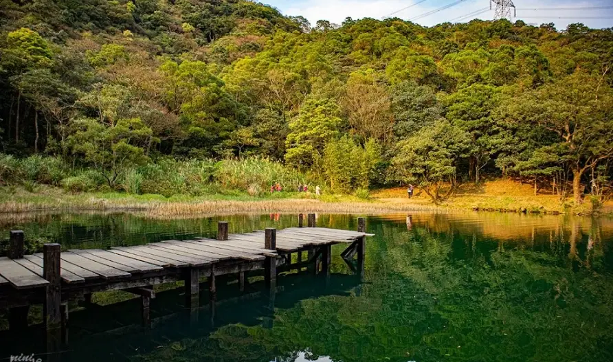 新山夢湖交通 新山夢湖交通
