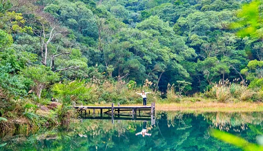 新山夢湖交通