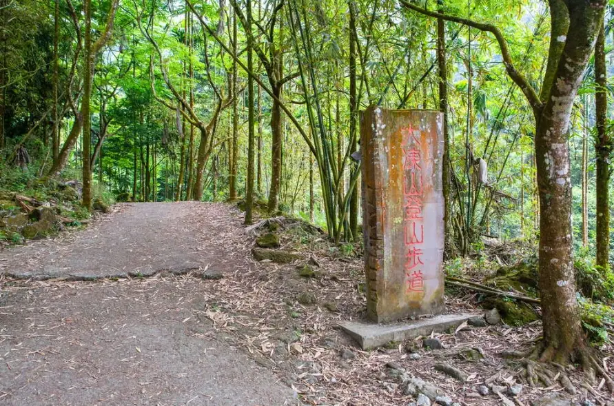 大棟山三角點 大棟山三角點
