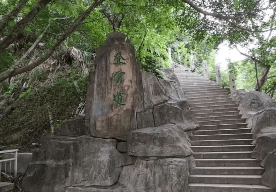 大棟山交通